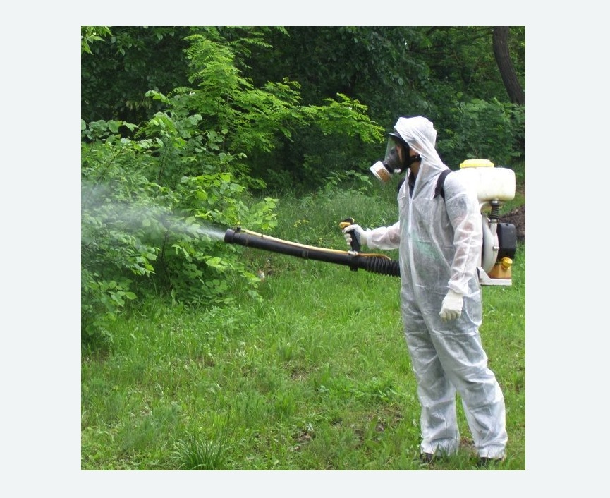 обработка территории от клещей в Семикаракорске