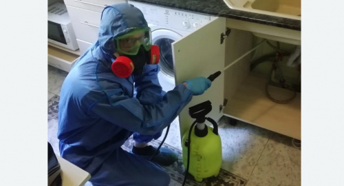 Уничтожение муравьев в квартире. Семикаракорск