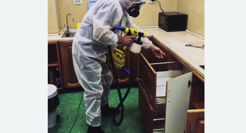 Уничтожение насекомых в квартире. Семикаракорск