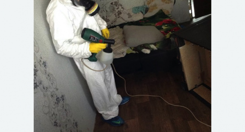 Обработка квартир от насекомых в Семикаракорске