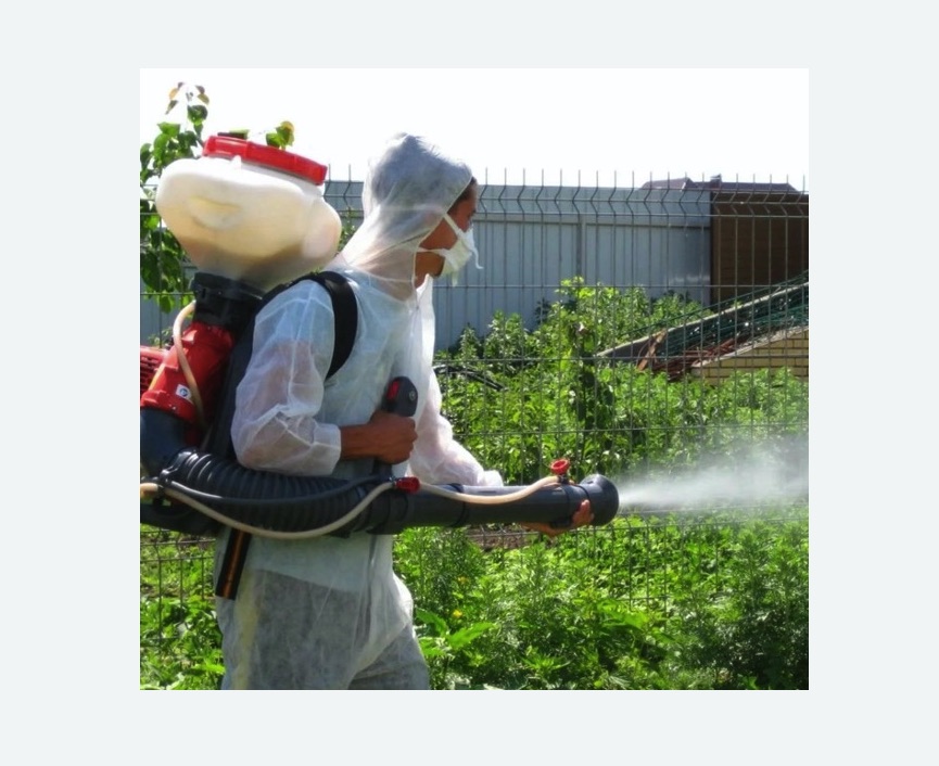 Акарицидная обработка территории в Семикаракорске