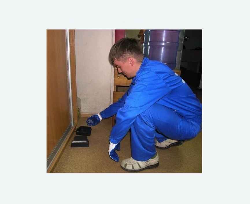 Дератизация крыс в Семикаракорске