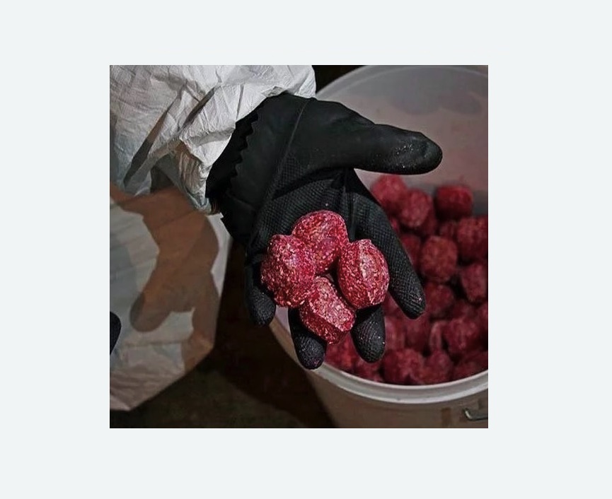 Обработка от крыс в Семикаракорске