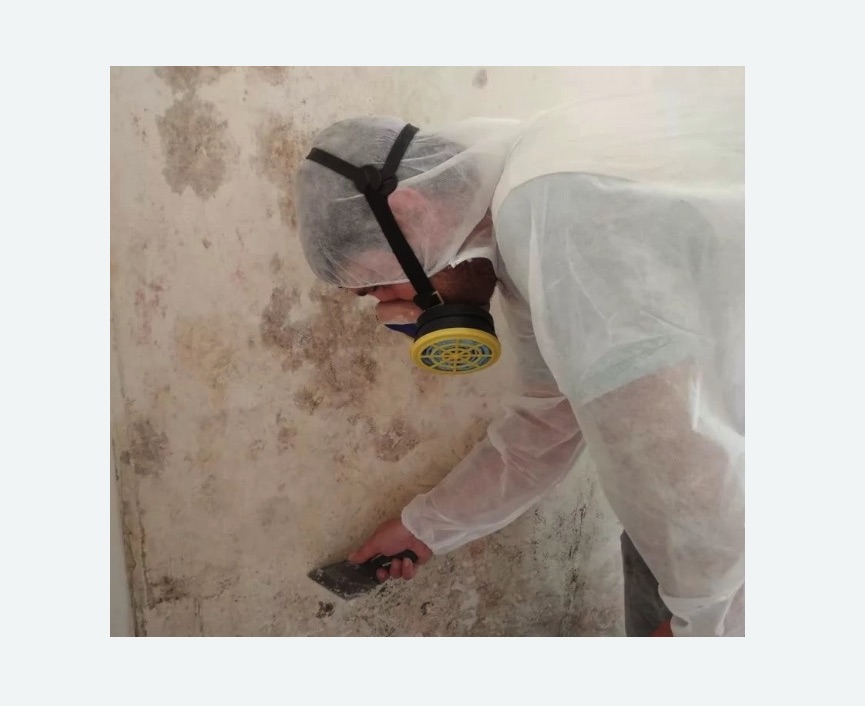 Обработка стен от плесени в Семикаракорске