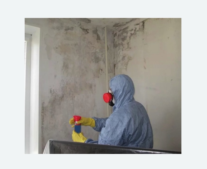 Удаление плесени в квартире в Семикаракорске