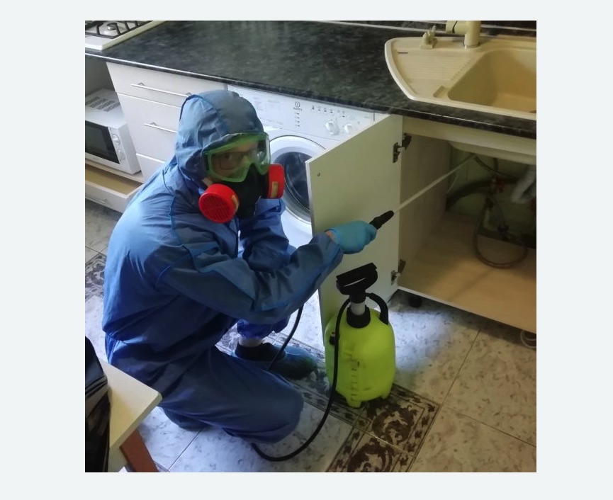 обработка от муравьев в квартире в Семикаракорске