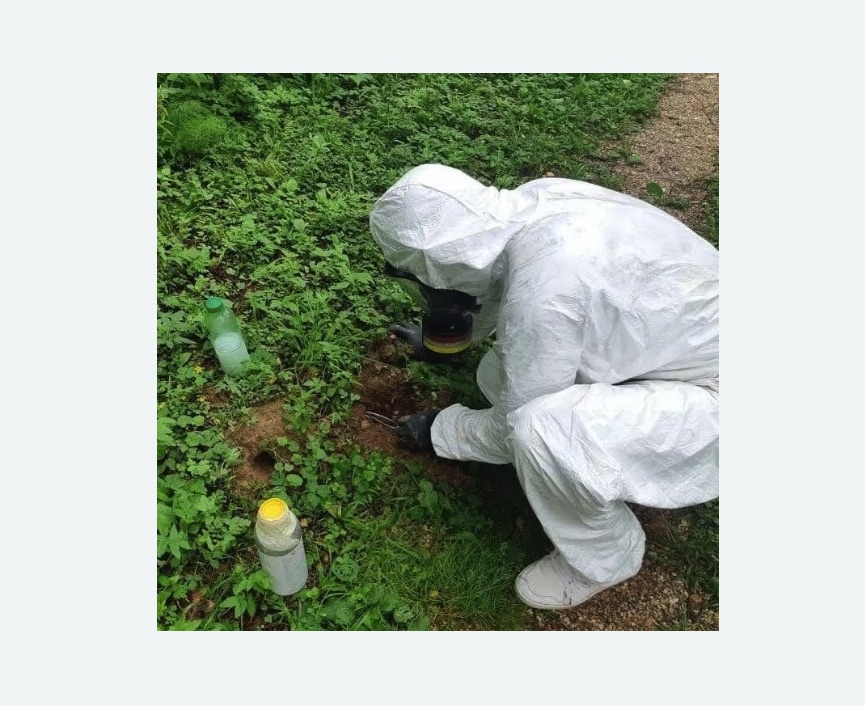 уничтожение кротов на участке в Семикаракорске