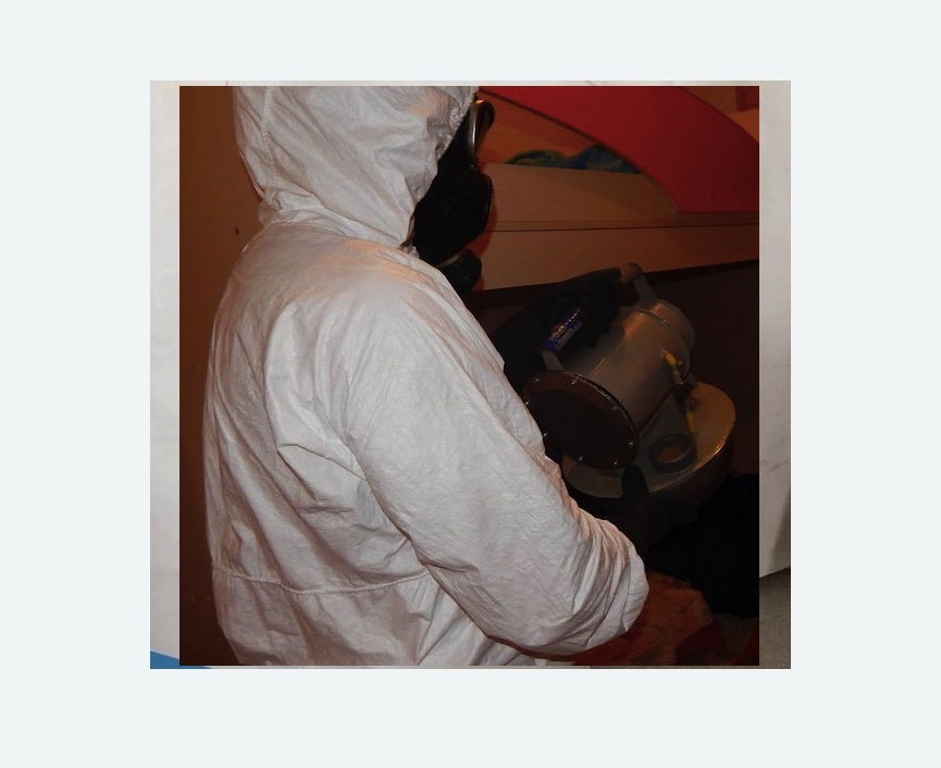 Дезинфекция от муравьев в Семикаракорске