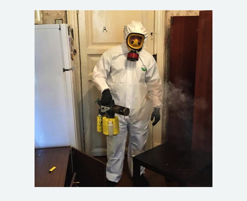 уничтожение муравьев в квартире в Семикаракорске